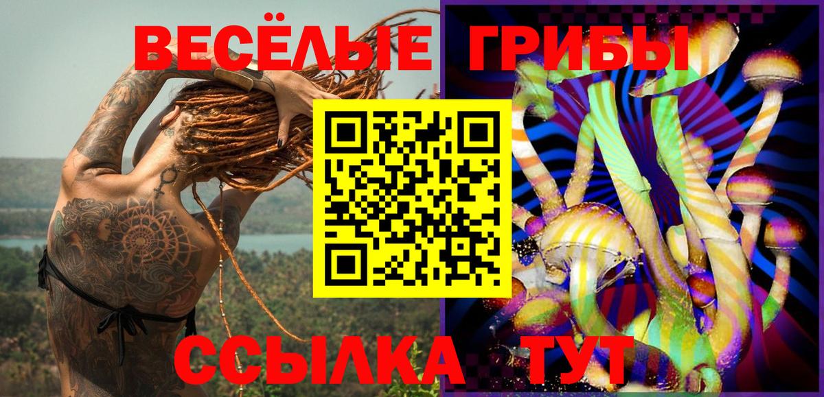 Галлюциногенные грибы MAGIC MUSHROOMS Вологда
