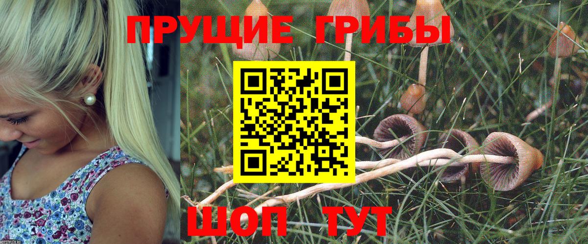 Галлюциногенные грибы мухоморы  купить наркотики сайты  Вологда  Вход с VPN 
